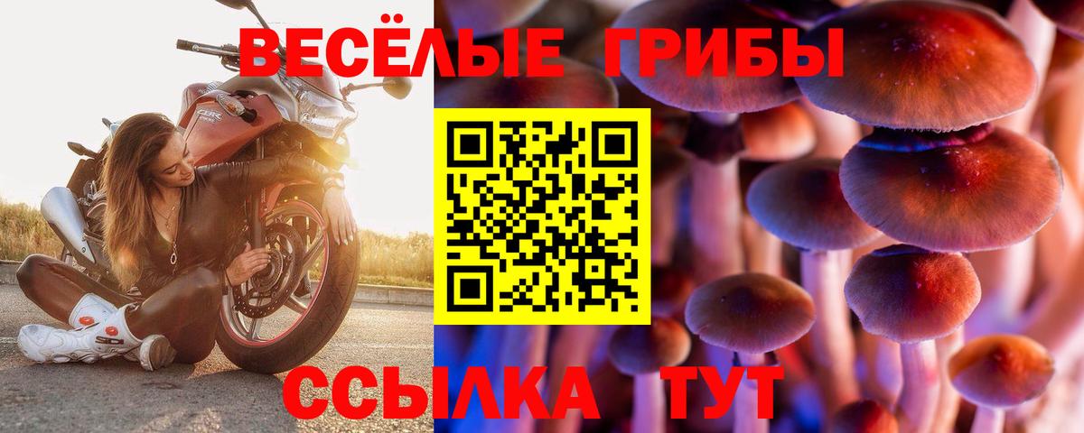 Галлюциногенные грибы Psilocybe Снежинск