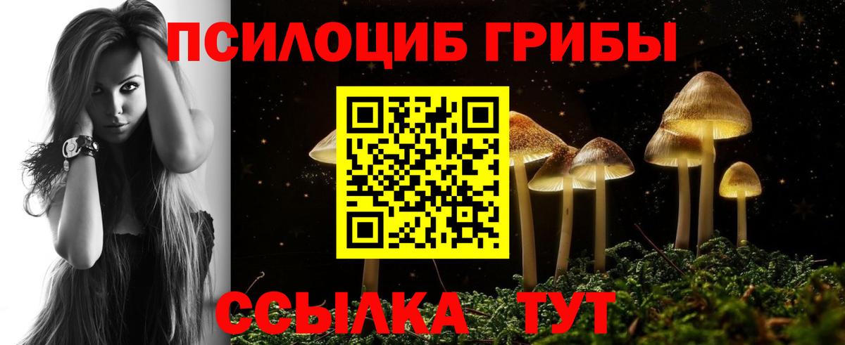 Псилоцибиновые грибы Cubensis  Вход с VPN  даркнет сайт  Снежинск  Псилоцибиновые грибы ЛСД 