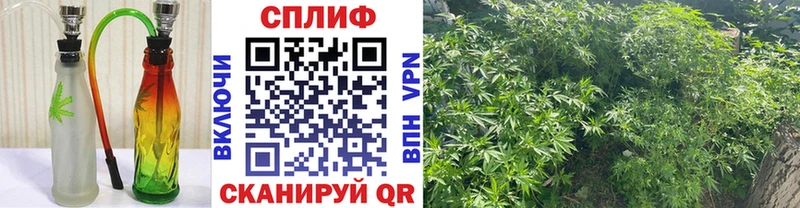 Конопля MAZAR Снежинск
